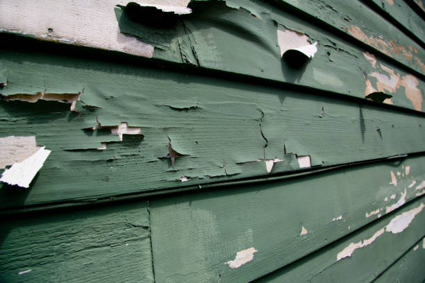 Best Residential Junk Removal  in Port St John, FL